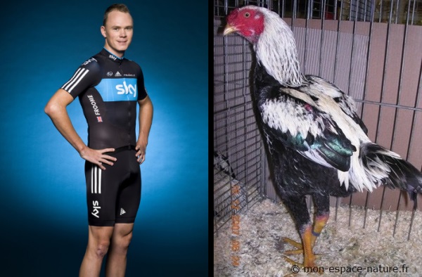 Christophe Froome / Combattant malais